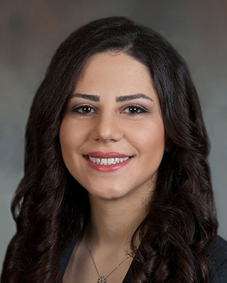 Dr. Hengameh Motevasel